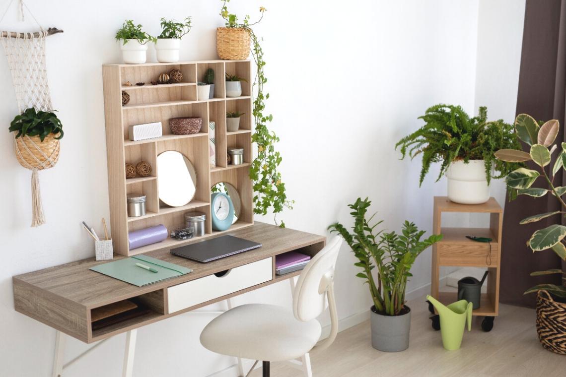 Arbeitsumgebung für Rentabilitätsanalyse und Finanzberatung